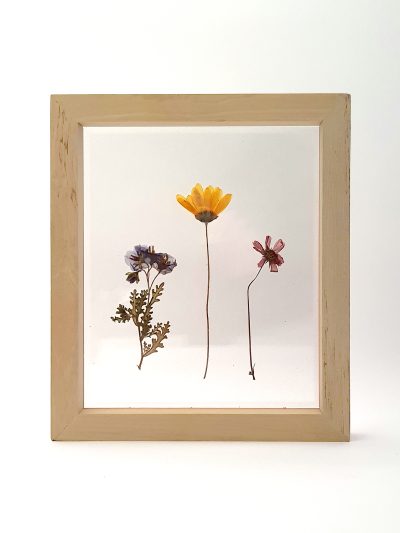 Flores