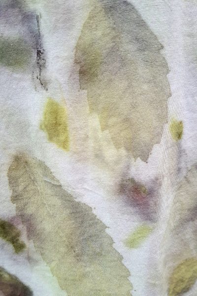 S Colores - Imagen 2