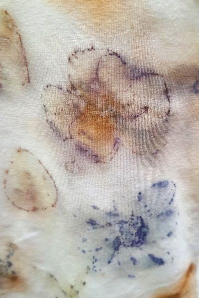 S Azulina - Imagen 2